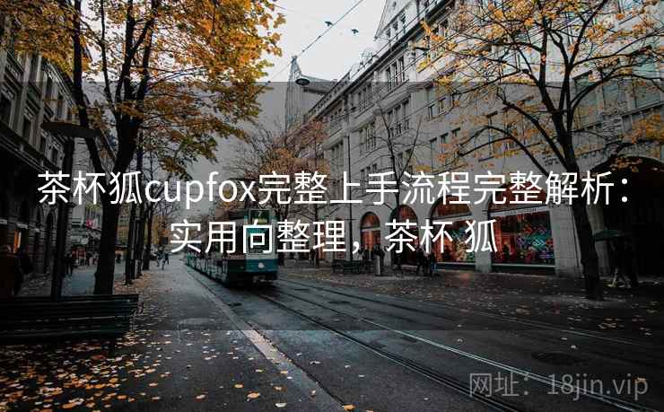 茶杯狐cupfox完整上手流程完整解析：实用向整理，茶杯 狐