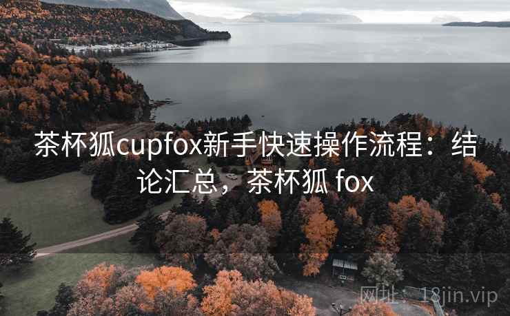 茶杯狐cupfox新手快速操作流程：结论汇总，茶杯狐 fox