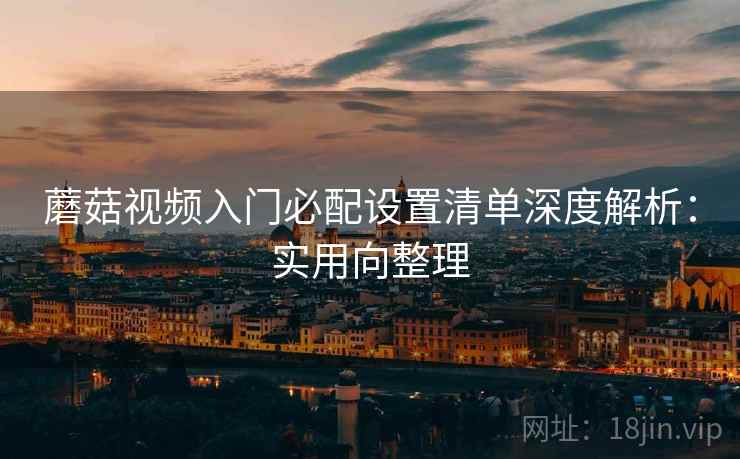 蘑菇视频入门必配设置清单深度解析：实用向整理