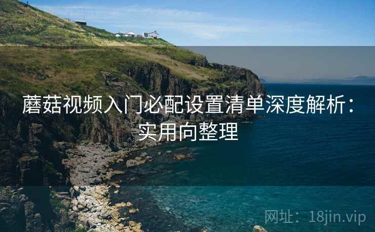 蘑菇视频入门必配设置清单深度解析：实用向整理